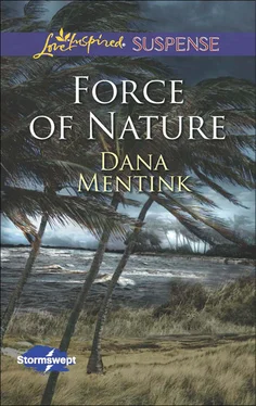 Dana Mentink Force of Nature обложка книги
