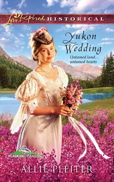 Allie Pleiter Yukon Wedding обложка книги