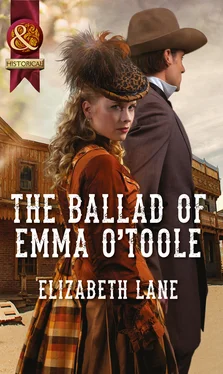Elizabeth Lane The Ballad of Emma O'Toole обложка книги