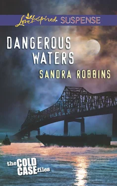 Sandra Robbins Dangerous Waters обложка книги