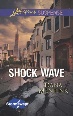 Dana Mentink Shock Wave обложка книги