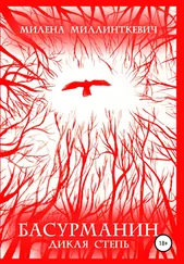 Милена Миллинткевич - Басурманин. Дикая степь