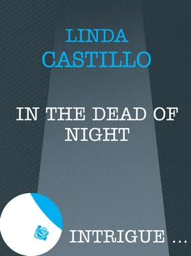 Linda Castillo In The Dead Of Night обложка книги