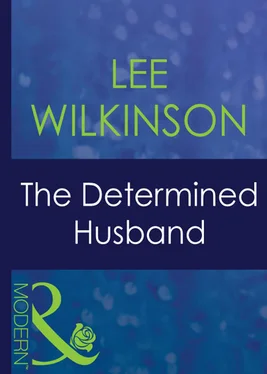 Lee Wilkinson The Determined Husband обложка книги