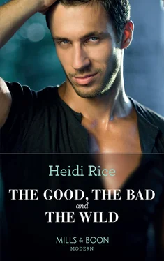 Heidi Rice The Good, The Bad And The Wild обложка книги