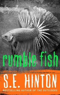 Susan Hinton Rumble Fish обложка книги