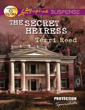 Terri Reed The Secret Heiress обложка книги