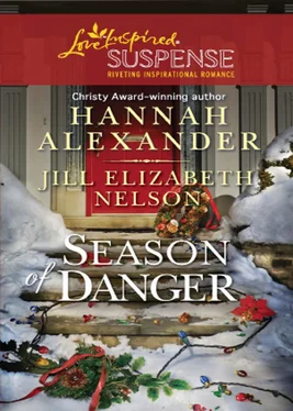 Jill Elizabeth Season of Danger обложка книги