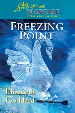 Elizabeth Goddard Freezing Point обложка книги