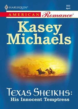 Kasey Michaels His Innocent Temptress обложка книги