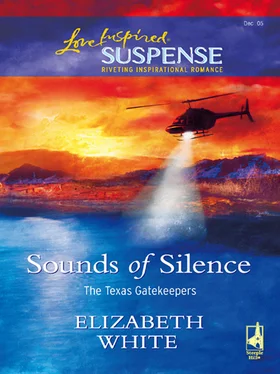 Elizabeth White Sounds Of Silence обложка книги