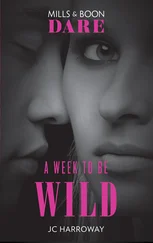 JC Harroway - A Week To Be Wild