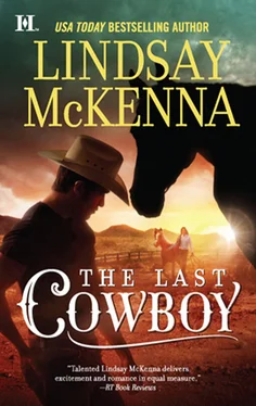 Lindsay McKenna The Last Cowboy обложка книги