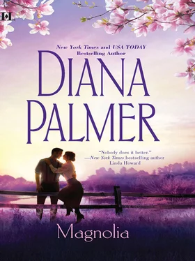 Diana Palmer Magnolia обложка книги