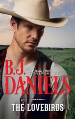 B.J. Daniels - The Lovebirds