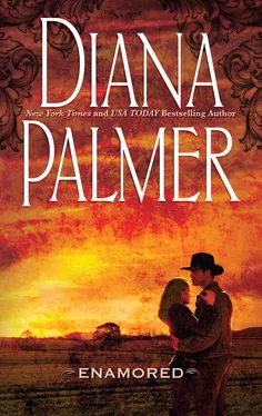 Diana Palmer Enamored обложка книги