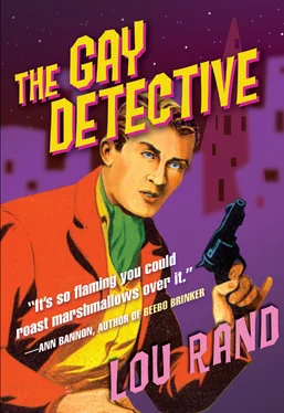 Lou Rand The Gay Detective обложка книги