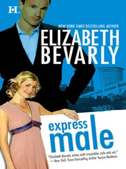 Elizabeth Bevarly - Express Male