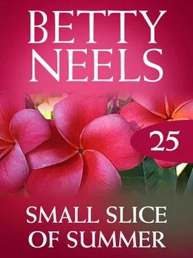 Betty Neels Small Slice of Summer обложка книги