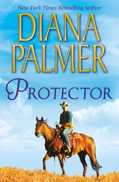 Diana Palmer Protector обложка книги