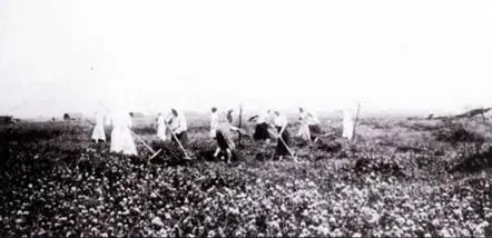 Основным местом базирования для частей Люфтваффе были сельскохозяйственные - фото 191