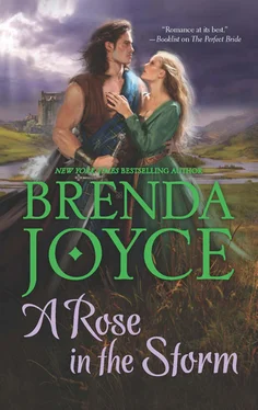 Brenda Joyce A Rose in the Storm обложка книги