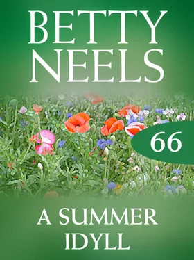 Betty Neels A Summer Idyll обложка книги