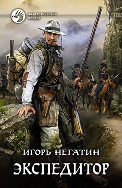 Игорь Негатин Экспедитор обложка книги