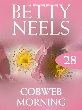 Betty Neels Cobweb Morning обложка книги