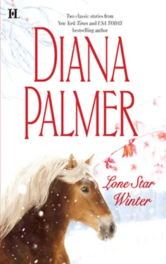 Diana Palmer Lone Star Winter обложка книги