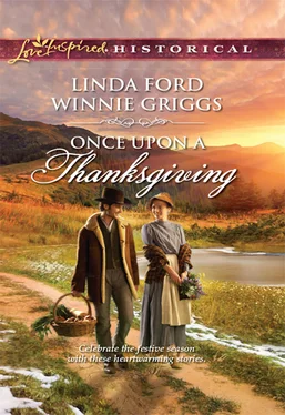 Linda Ford Once Upon A Thanksgiving обложка книги