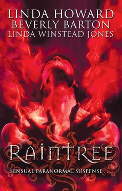 Linda Jones Raintree обложка книги