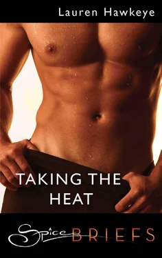 Lauren Hawkeye Taking the Heat обложка книги