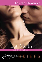 Lauren Hawkeye - Let Me In