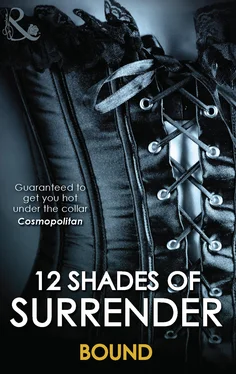 Lisa Renee Jones 12 Shades Of Surrender: Bound обложка книги