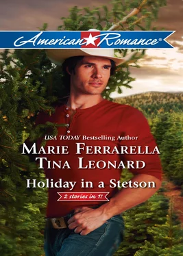 Marie Ferrarella Holiday in a Stetson обложка книги