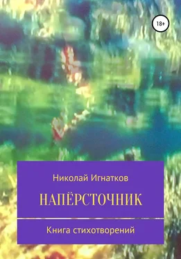 Николай Игнатков Напёрсточник обложка книги
