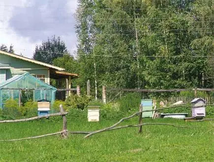 Пасеке второй год Пасека с десятилетним стажем А когда придет то - фото 26