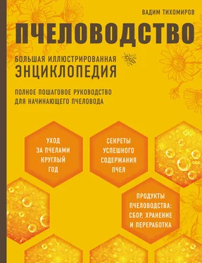 Вадим Тихомиров Пчеловодство. Большая иллюстрированная энциклопедия обложка книги