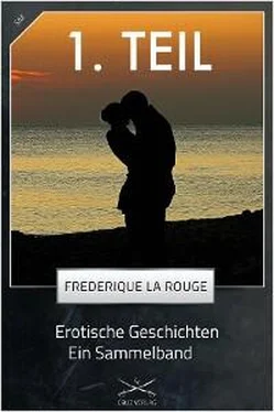 Frederique La Rouge Erotische Geschichten - 1. Sammelband обложка книги