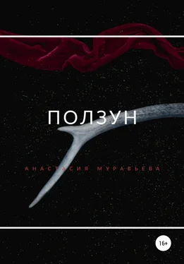 Анастасия Муравьева Ползун обложка книги