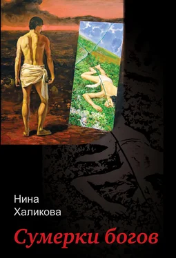 Нина Халикова Сумерки богов обложка книги