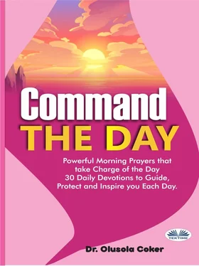 Olusola Coker Command The Day обложка книги