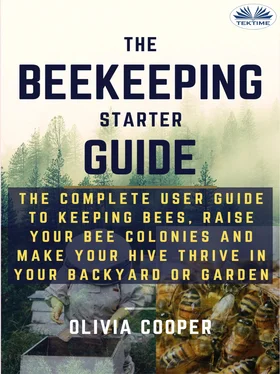 Olivia Cooper Beekeeping Starter Guide обложка книги