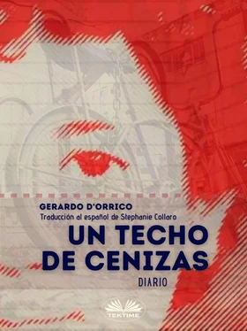 Gerardo D'Orrico Un Techo De Cenizas обложка книги