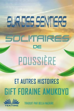 Foraine Amukoyo Gift Sur Des Sentiers Solitaires De Poussière Et Autres Histoires обложка книги