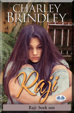 Charley Brindley Raji: Boek Een обложка книги