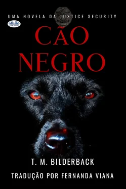 T. M. Bilderback Cão Negro - Uma Novela Da Justice Security обложка книги