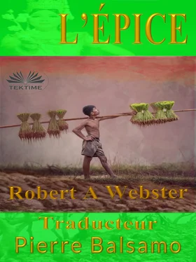 Robert A. Webster L'Épice обложка книги