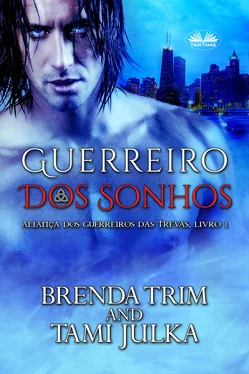 Brenda Trim Guerreiro Dos Sonhos обложка книги